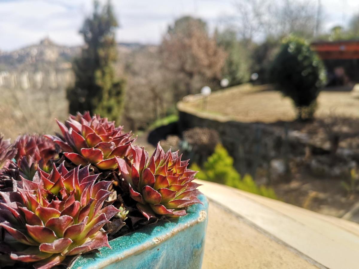 Panorama Suite Пиаца Армерина Екстериор снимка