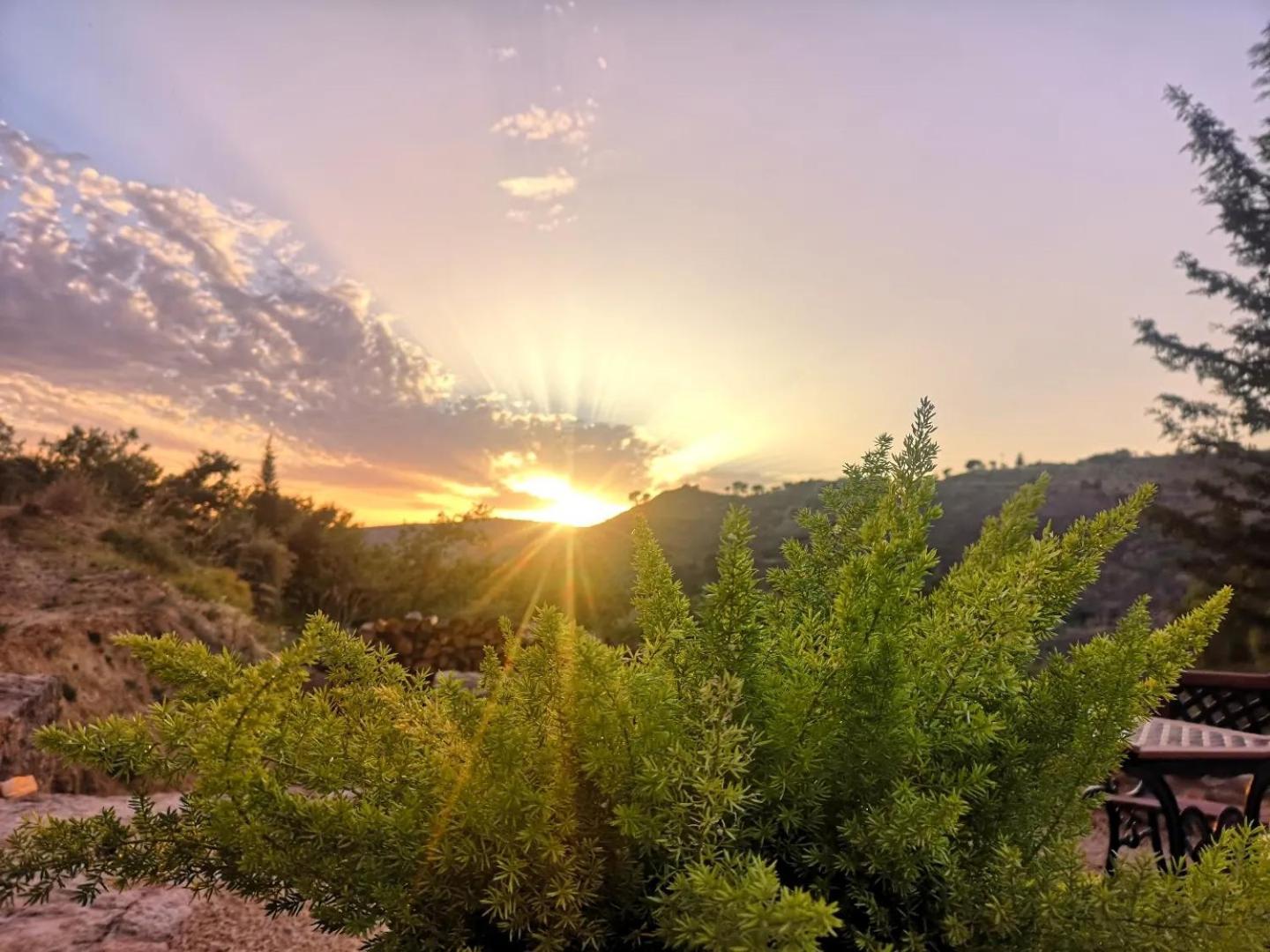 Panorama Suite Пиаца Армерина Екстериор снимка