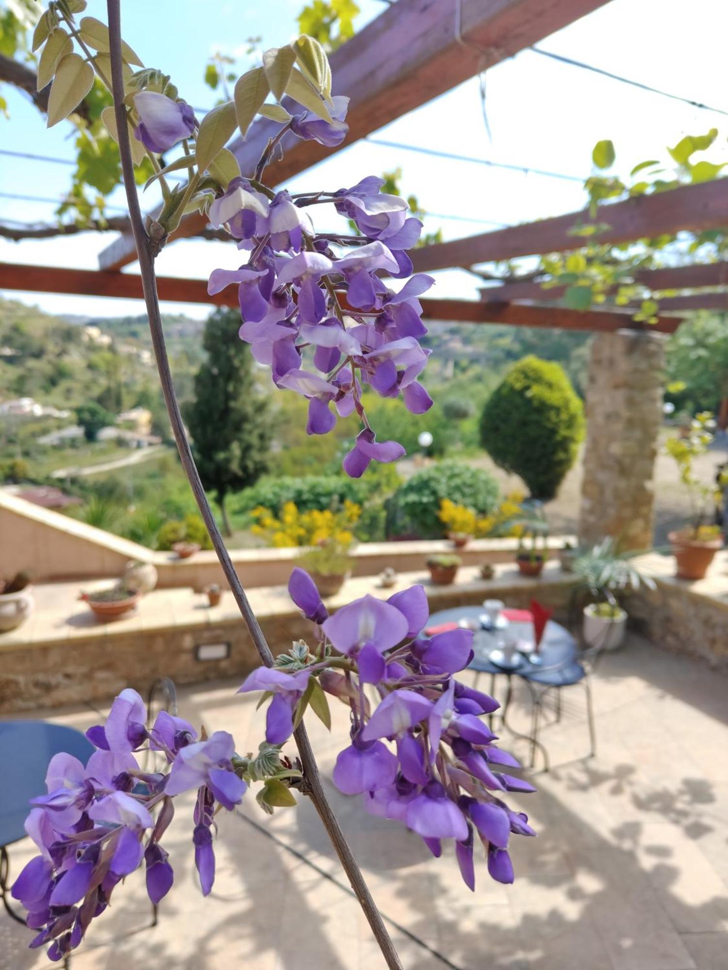 Panorama Suite Пиаца Армерина Екстериор снимка